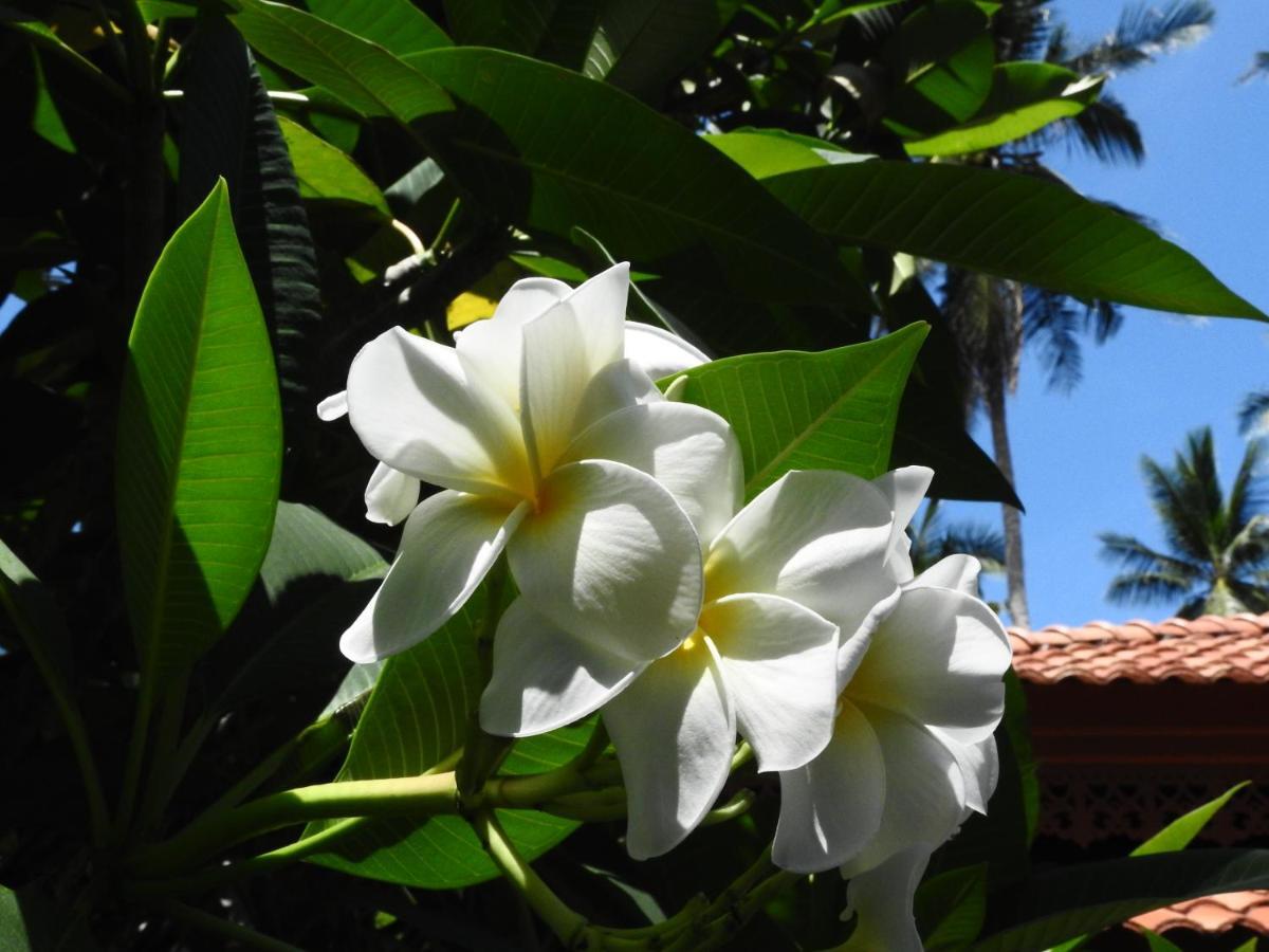 Laura Guest House-Adult Only- Hua Thanon  외부 사진
